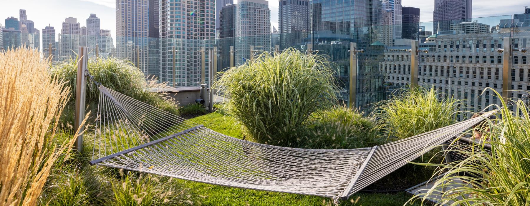 a hammock in a grassy area with a city in the background